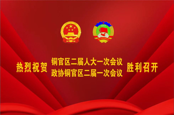 熱烈祝賀公司董事、副總經(jīng)理王從偉被選為 第二屆銅陵市銅官區(qū)政協(xié)常務(wù)委員